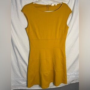 GAP Marigold Fit and Flare dress size 4 Petite